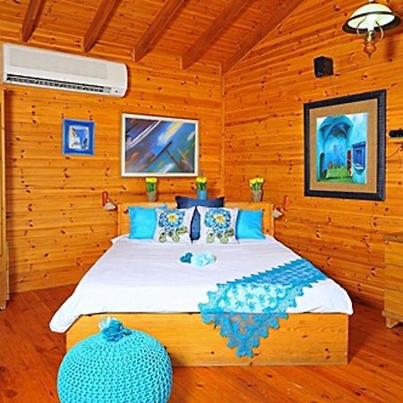 The Golan Cabin Villa Had Nes Buitenkant foto